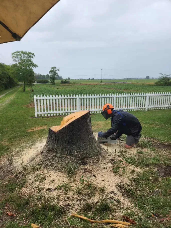 Stump Grinding in Yoder, IN