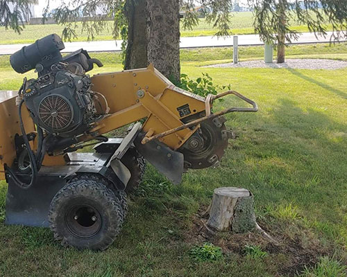 Stump Grinding in Fort Wayne, IN