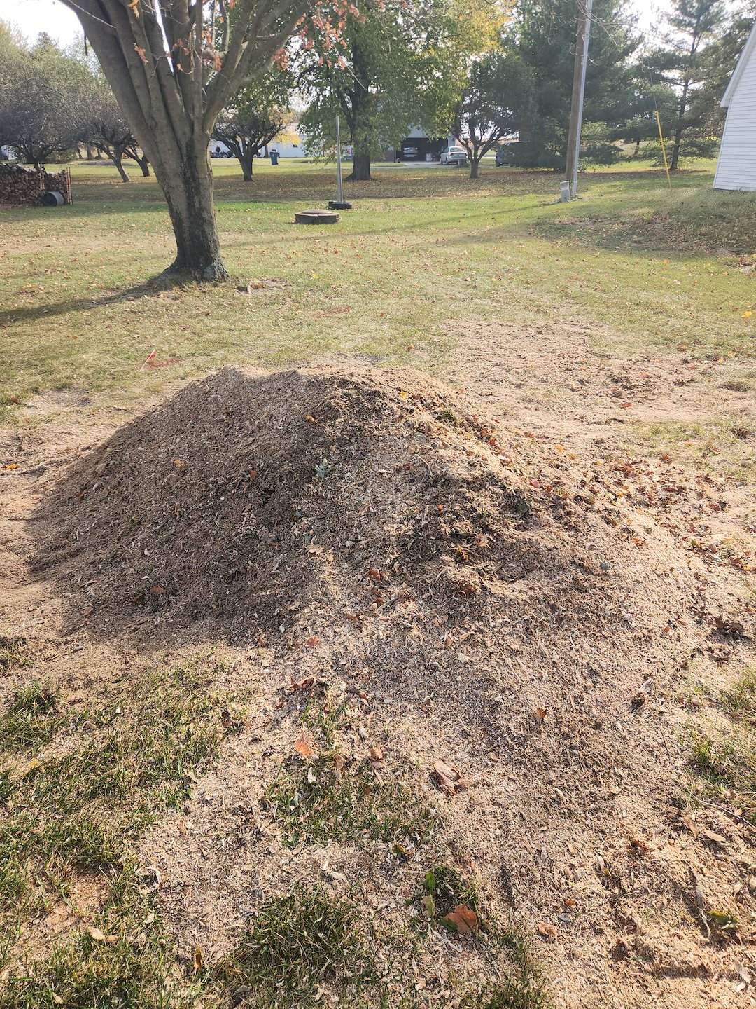 Stump Grinding Project – Hoagland, IN (Just Outside Fort Wayne)